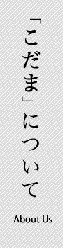 こだま製作所について